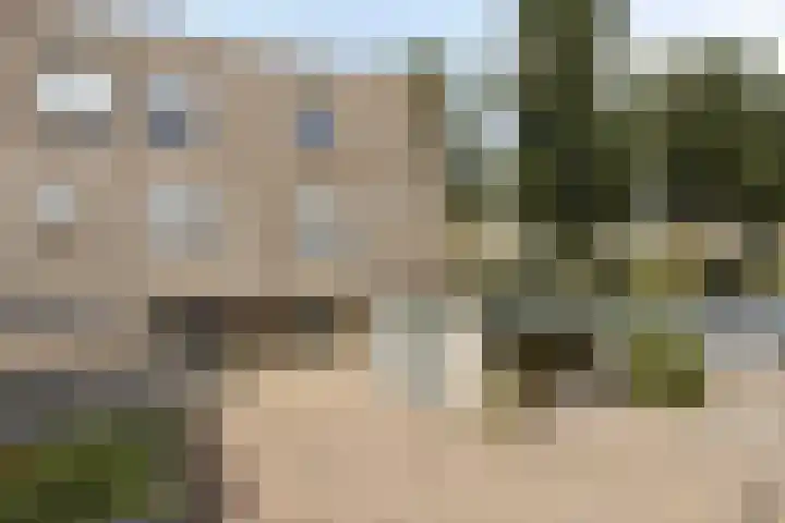 Basilicumveld 11 Schiedam thumbnail 41