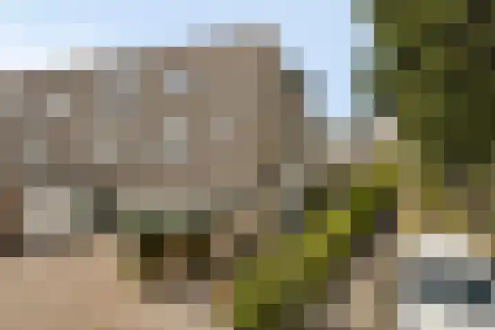 Basilicumveld 11 Schiedam thumbnail 5