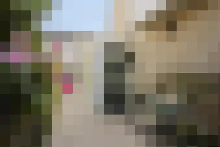 Basilicumveld 11 Schiedam thumbnail 6
