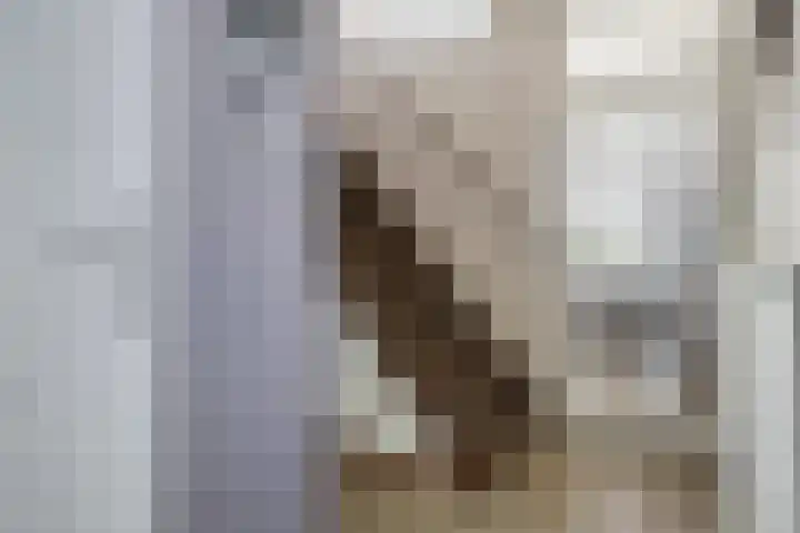 Basilicumveld 11 Schiedam thumbnail 8