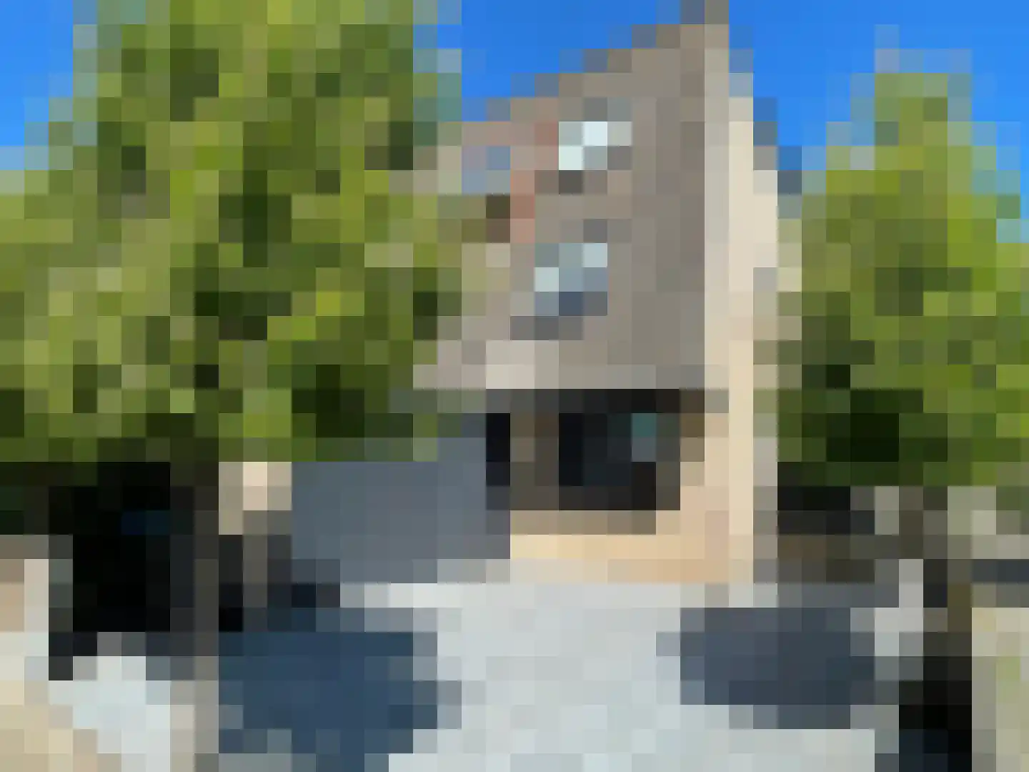 Basilicumveld 18 in Schiedam