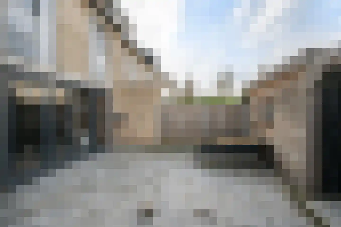 Basilicumveld 18 Schiedam thumbnail 11