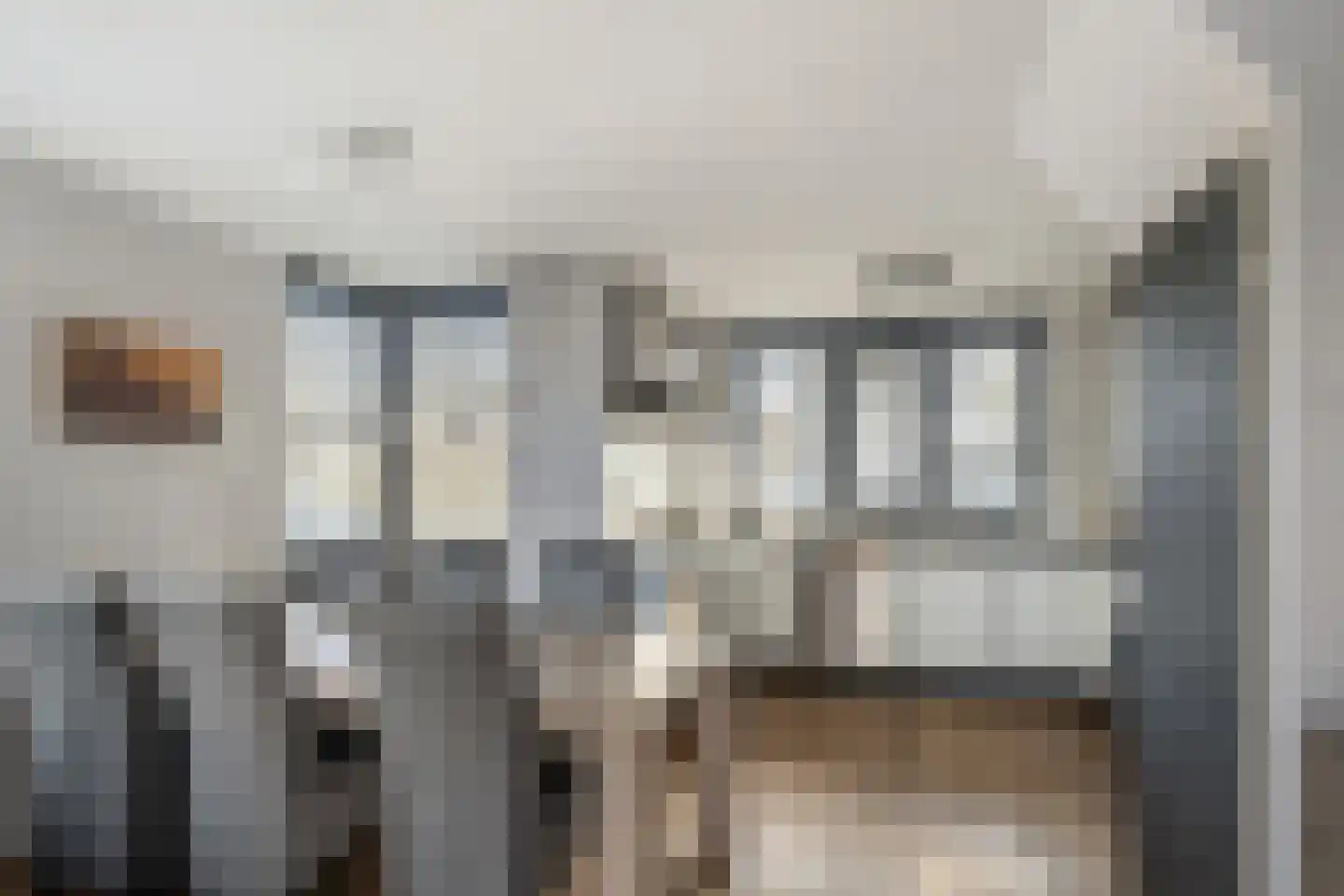 Basilicumveld 18 Schiedam thumbnail 12
