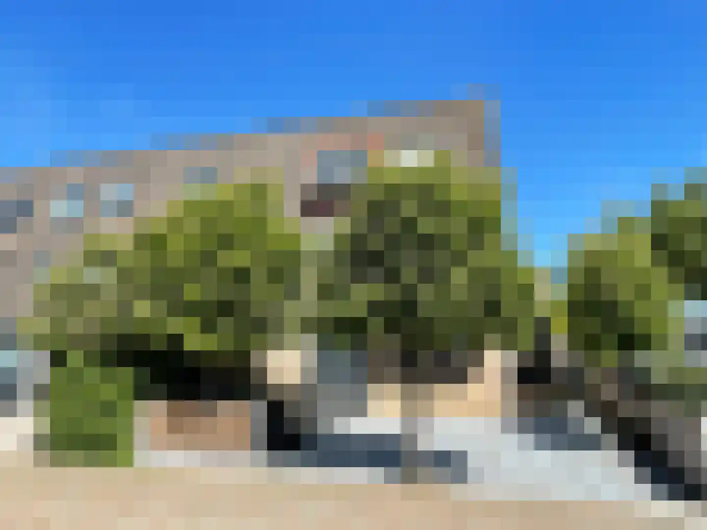 Basilicumveld 18 Schiedam thumbnail 28