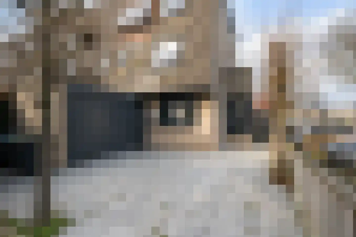 Basilicumveld 18 Schiedam thumbnail 35