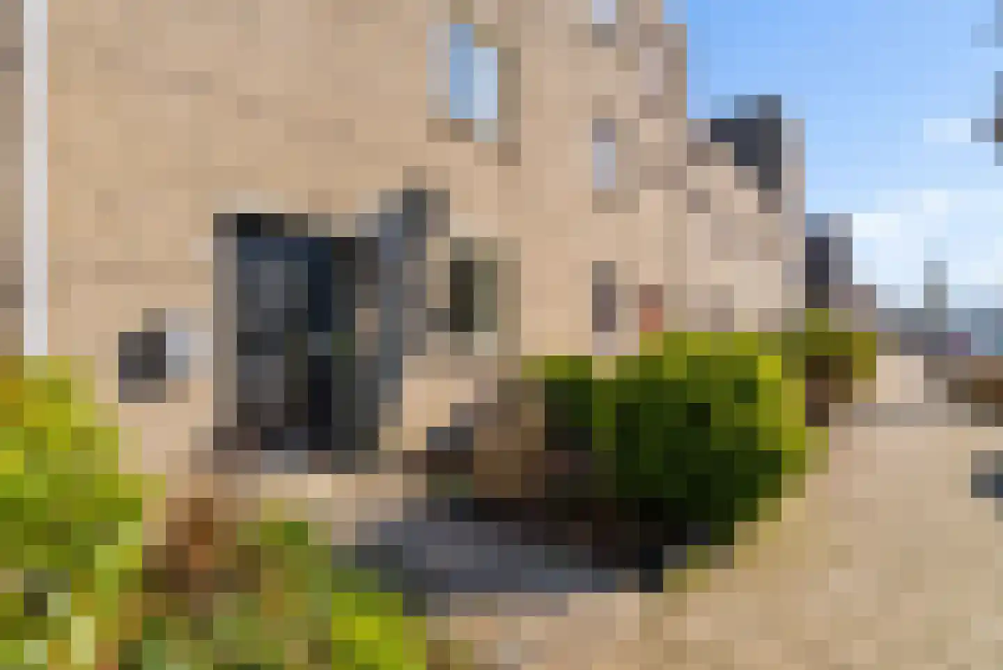 Basilicumweg 88 Almere thumbnail 5