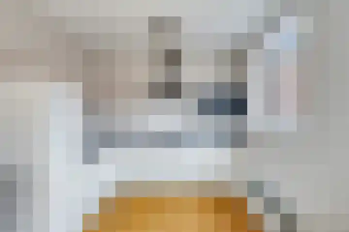 Basiliekstraatje 16 Hulst thumbnail 13