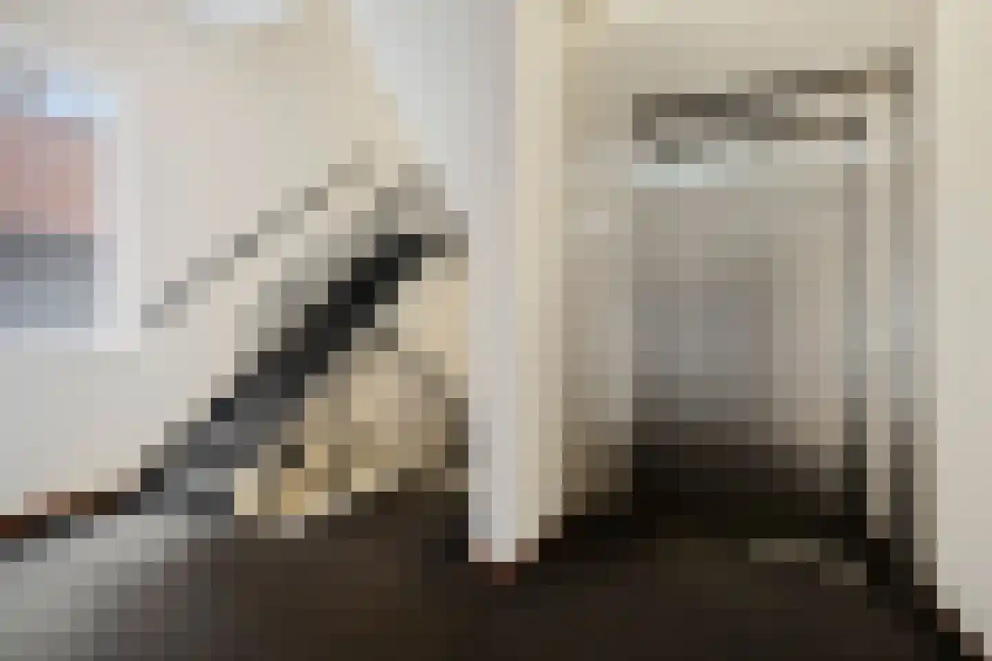 Basiliekstraatje 28 Hulst thumbnail 8