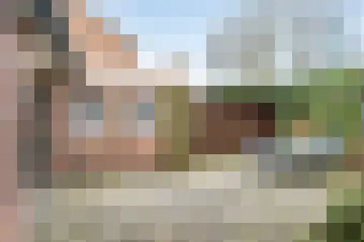 Basilius van Bruggestraat 2 Heesch thumbnail 35