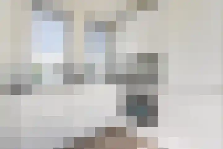 Basisveenstraat 11 A Purmerend thumbnail 6