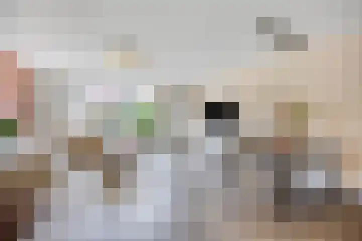 Basisveenstraat 47 Purmerend thumbnail 13