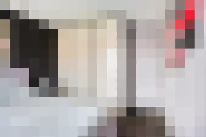 Basisveenstraat 47 Purmerend thumbnail 24