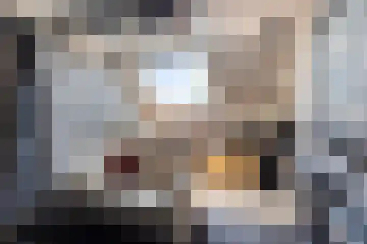 Basisveenstraat 47 Purmerend thumbnail 32