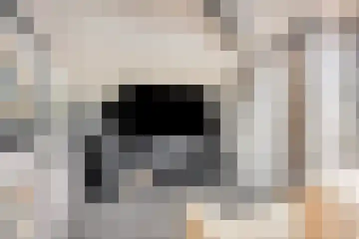 Basisveenstraat 47 Purmerend thumbnail 33