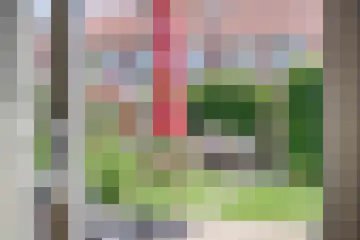 Basisveenstraat 47 Purmerend thumbnail 35