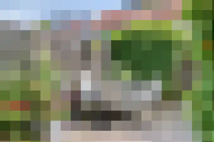Basisveenstraat 47 Purmerend thumbnail 39