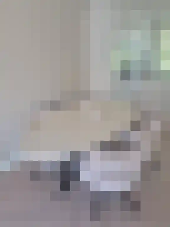 Basisveenstraat 47 Purmerend thumbnail 5