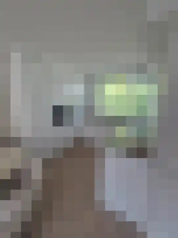 Basisveenstraat 47 Purmerend thumbnail 6