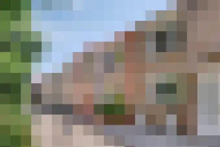 Basisveenstraat 47 Purmerend thumbnail 9