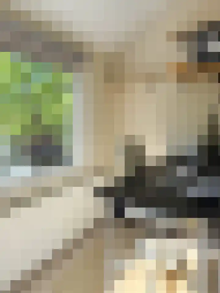 Basiusstraat 13 Heerhugowaard thumbnail 31