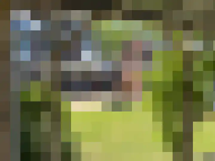 Basiusstraat 13 Heerhugowaard thumbnail 33