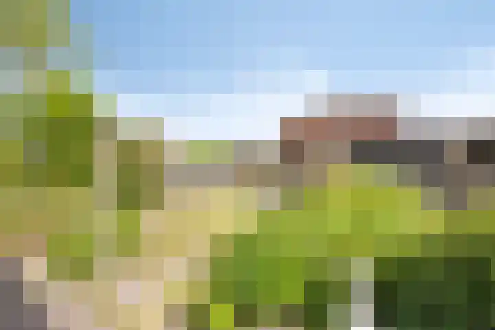 Basiusstraat 14 Heerhugowaard thumbnail 27