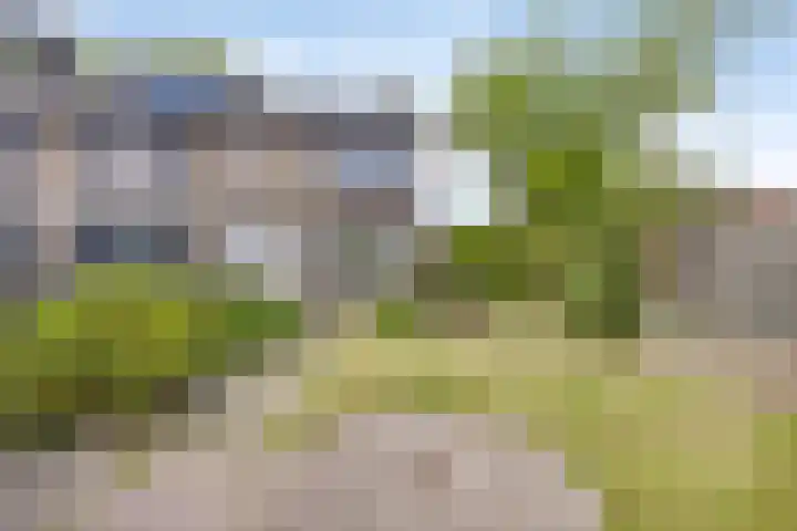Basiusstraat 14 Heerhugowaard thumbnail 6