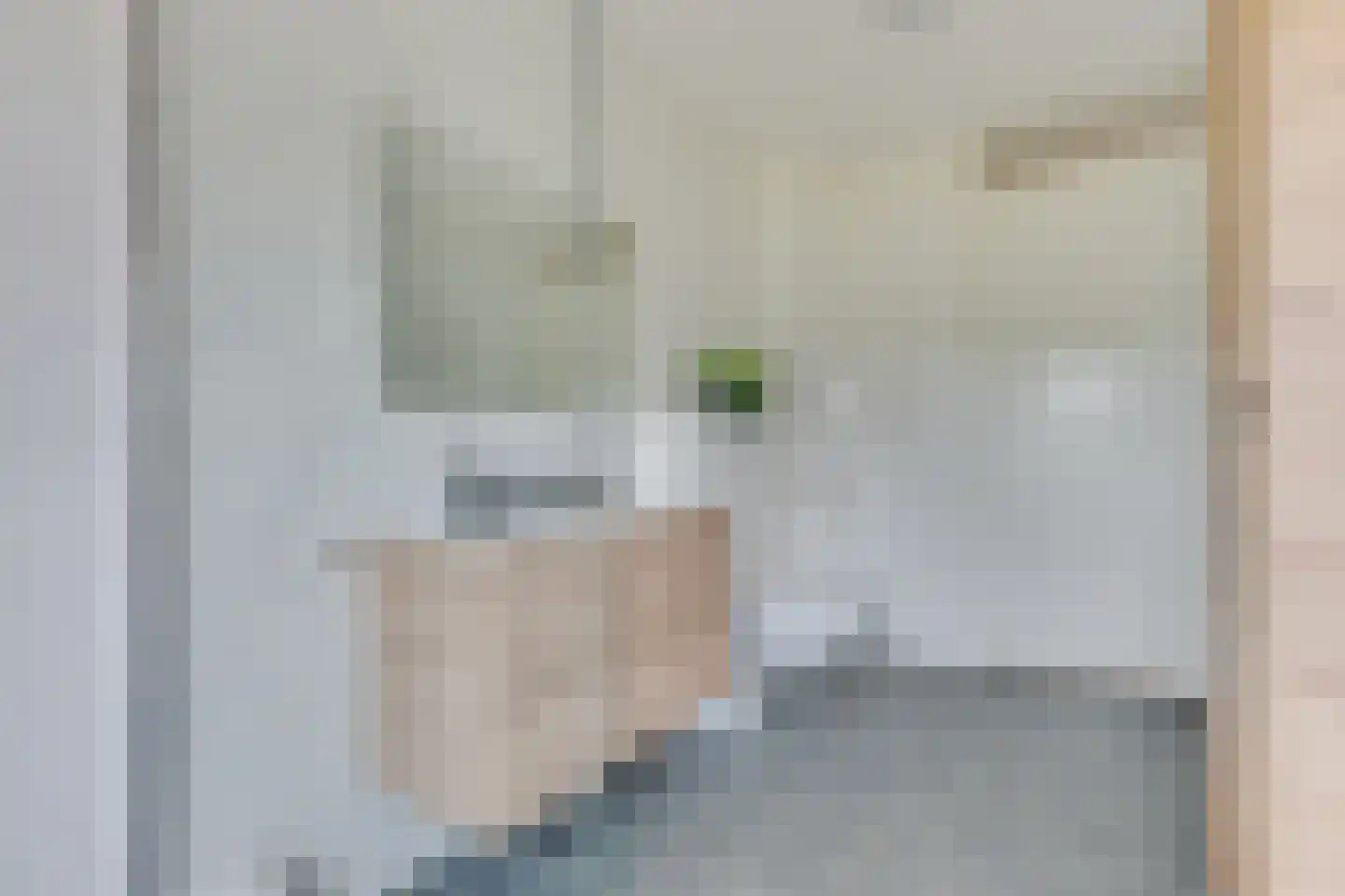 Basiusstraat 29 Heerhugowaard thumbnail 33