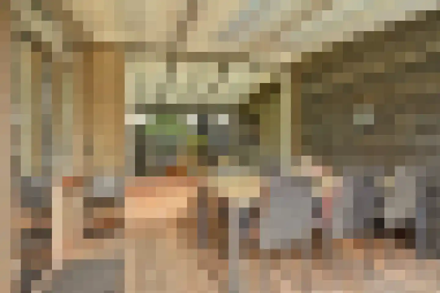 Basiusstraat 8 Heerhugowaard thumbnail 63