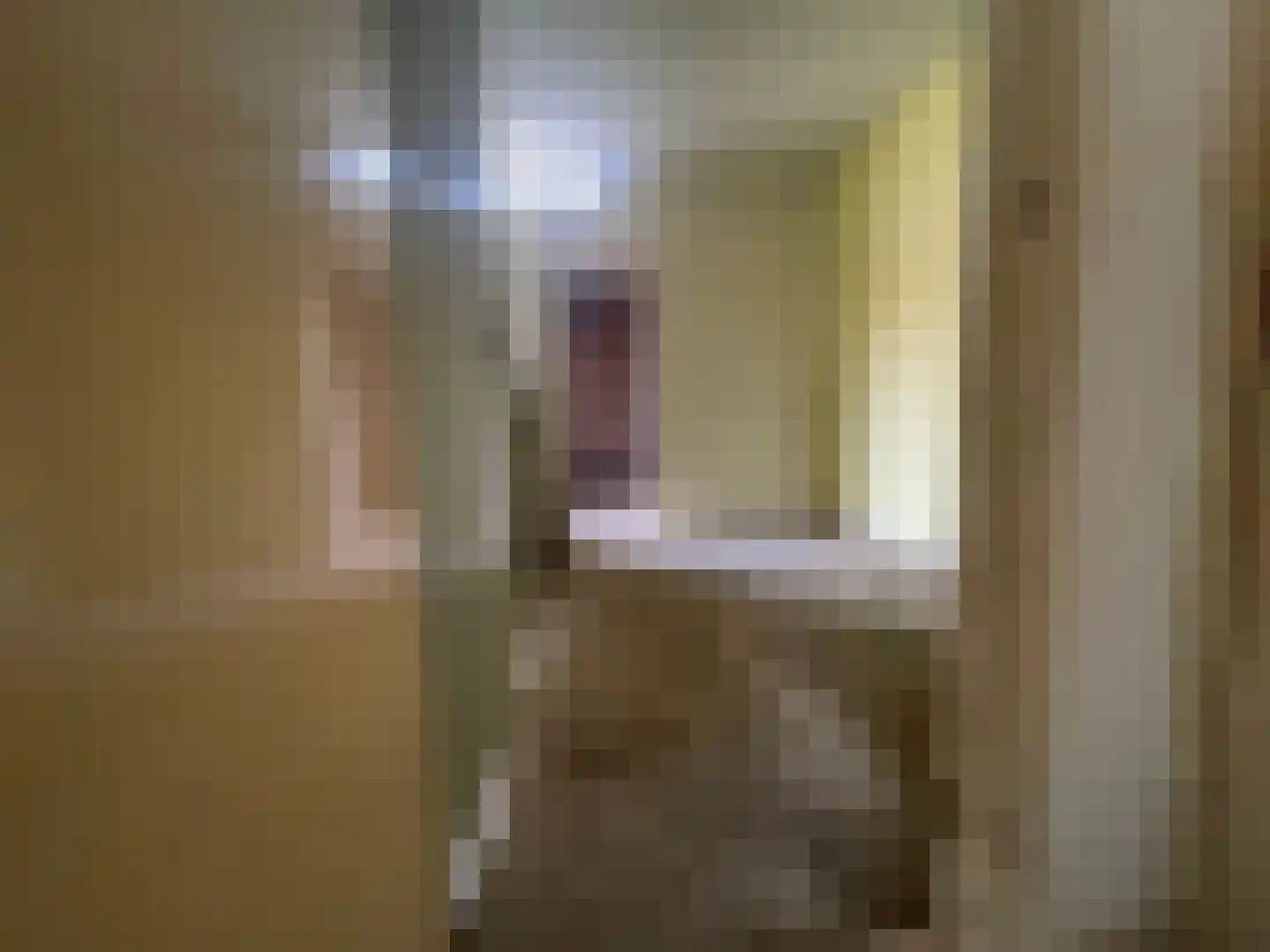 Baskenstraat 7 Dronten thumbnail 12