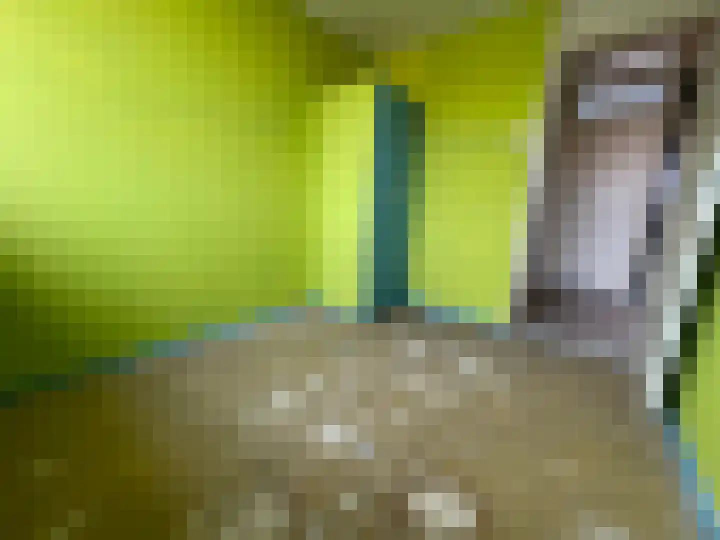 Baskenstraat 7 Dronten thumbnail 25