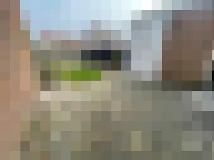 Baskenstraat 7 Dronten thumbnail 34