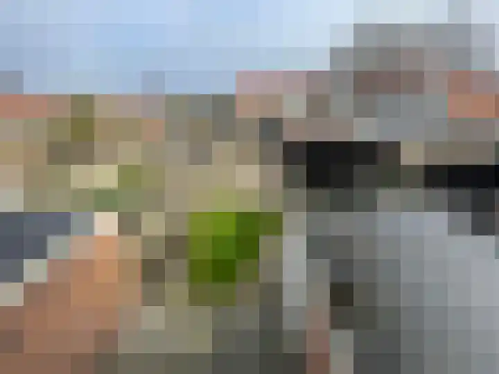Baskenstraat 7 Dronten thumbnail 35