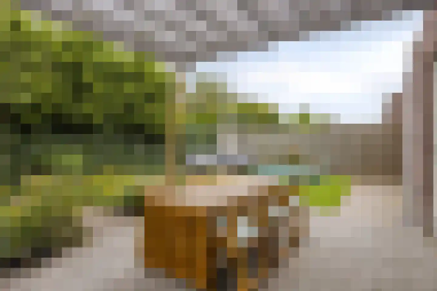 Basket 13 Den Dungen thumbnail 12