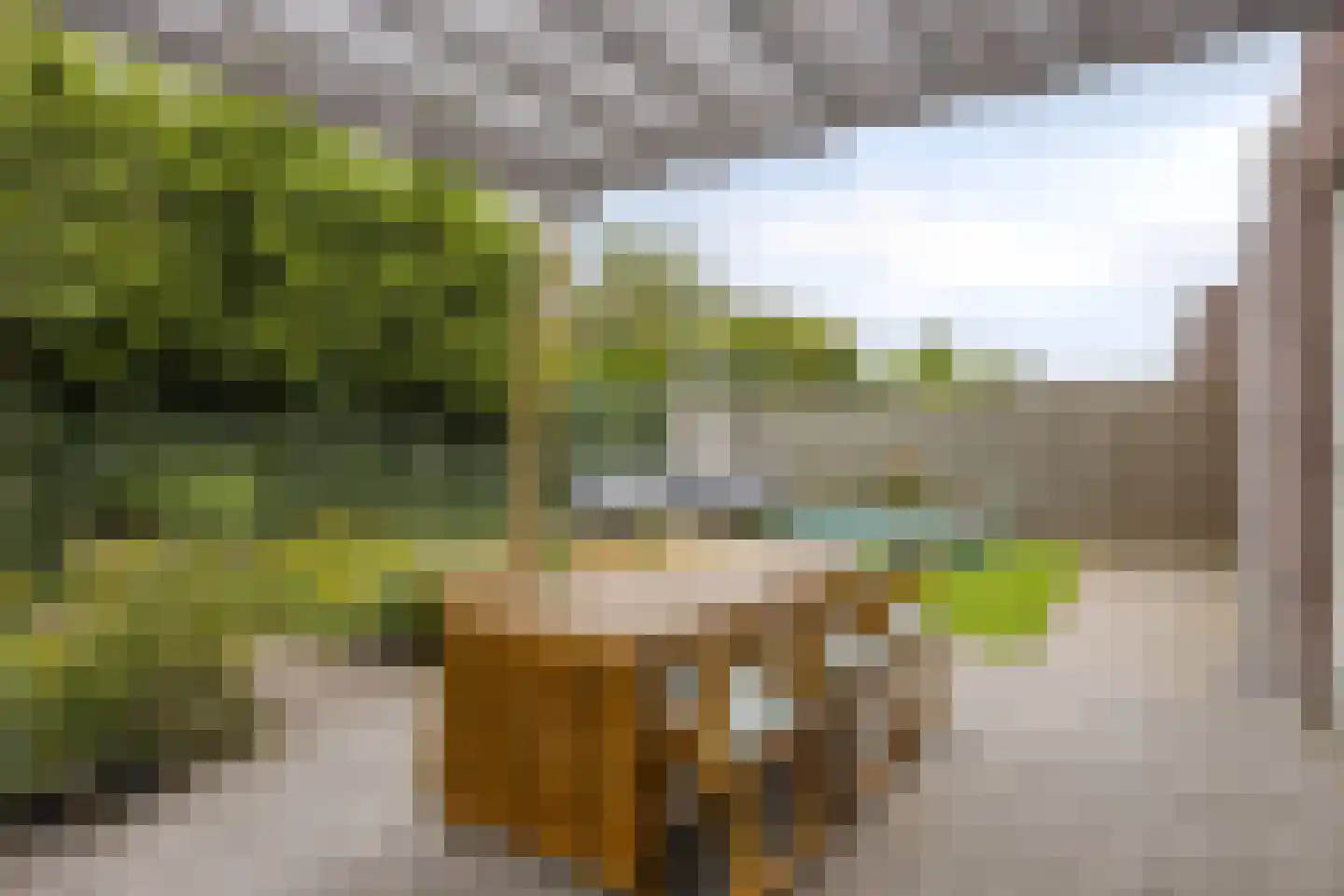Basket 13 Den Dungen thumbnail 13