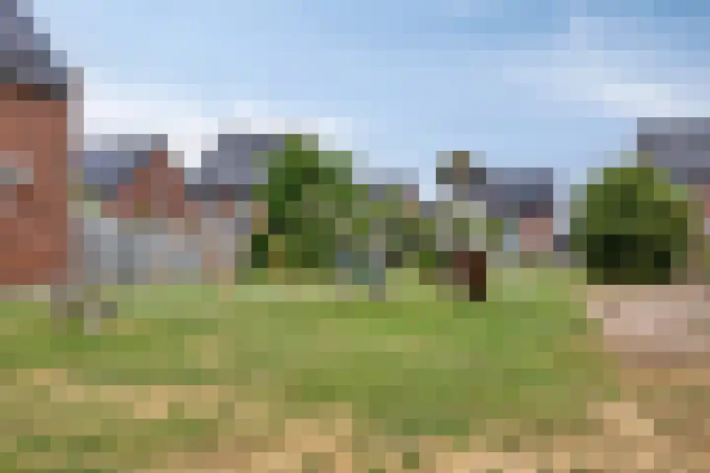 Basket 13 Den Dungen thumbnail 31