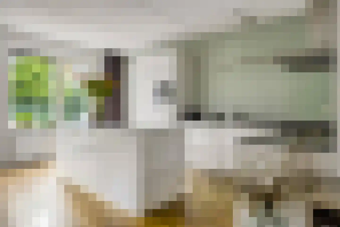Basket 13 Den Dungen thumbnail 9