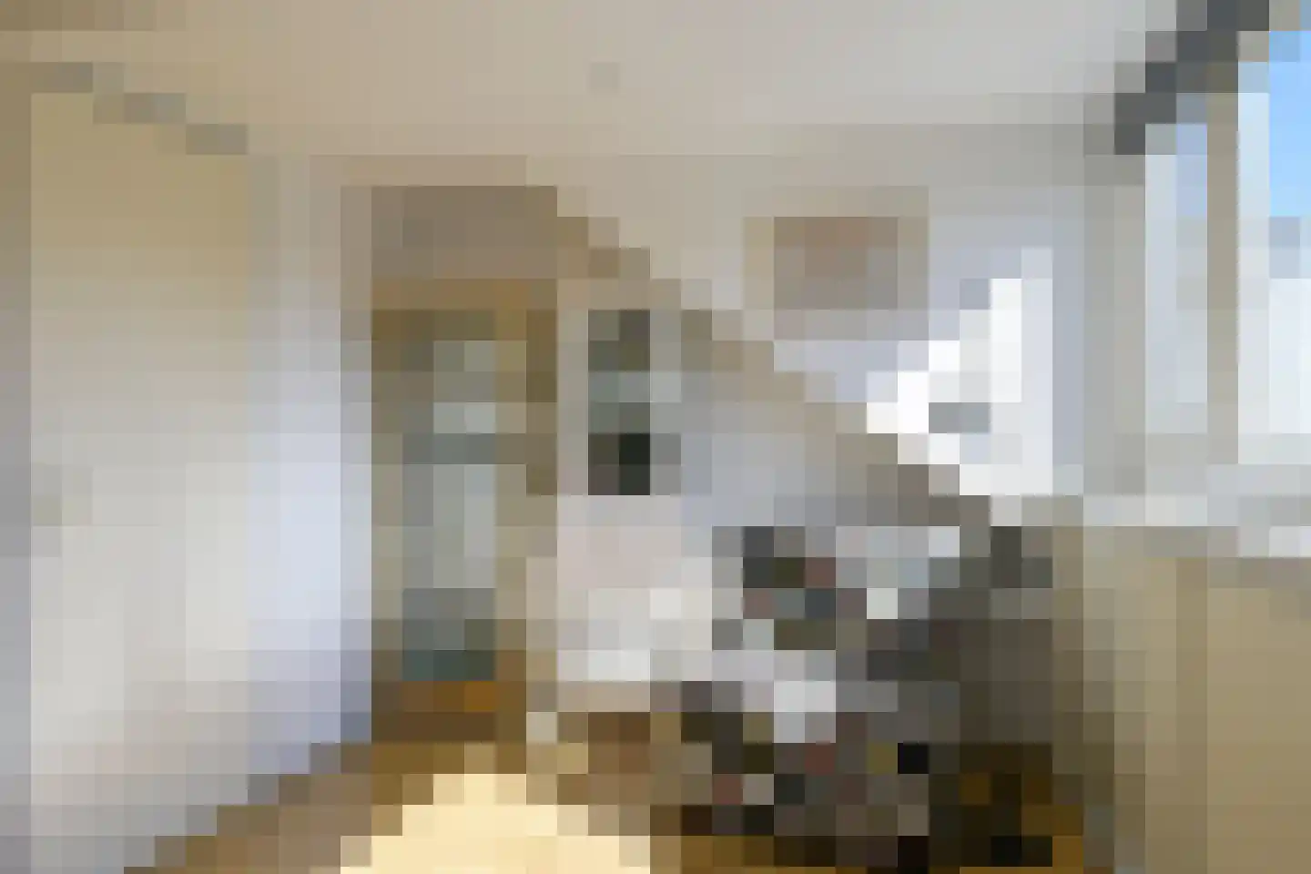 Basrastraat 12 Rotterdam thumbnail 23