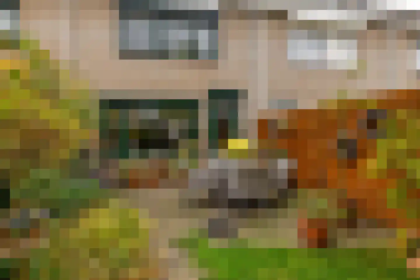 Basrastraat 22 Rotterdam thumbnail 17