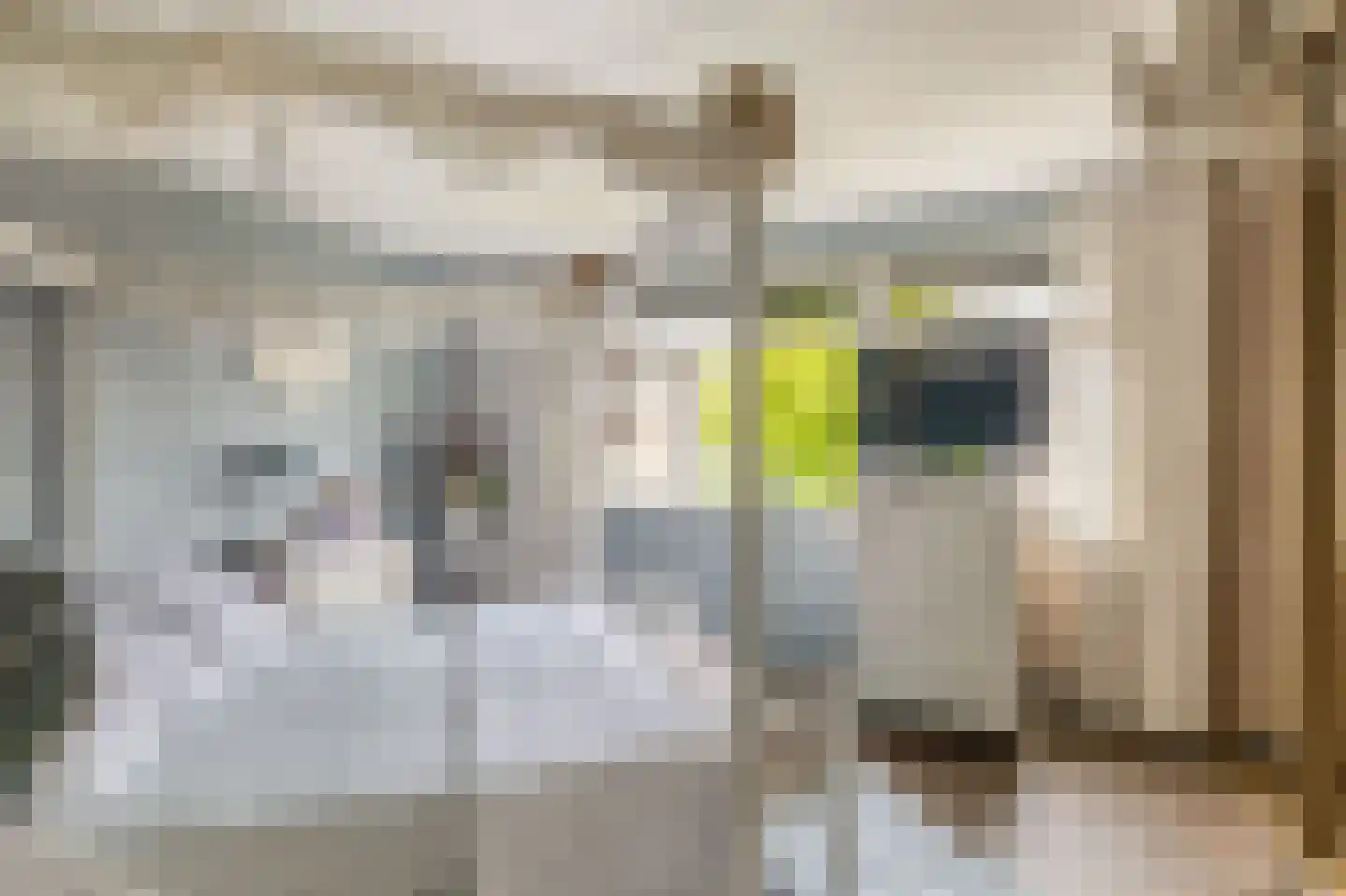 Basrastraat 22 Rotterdam thumbnail 18