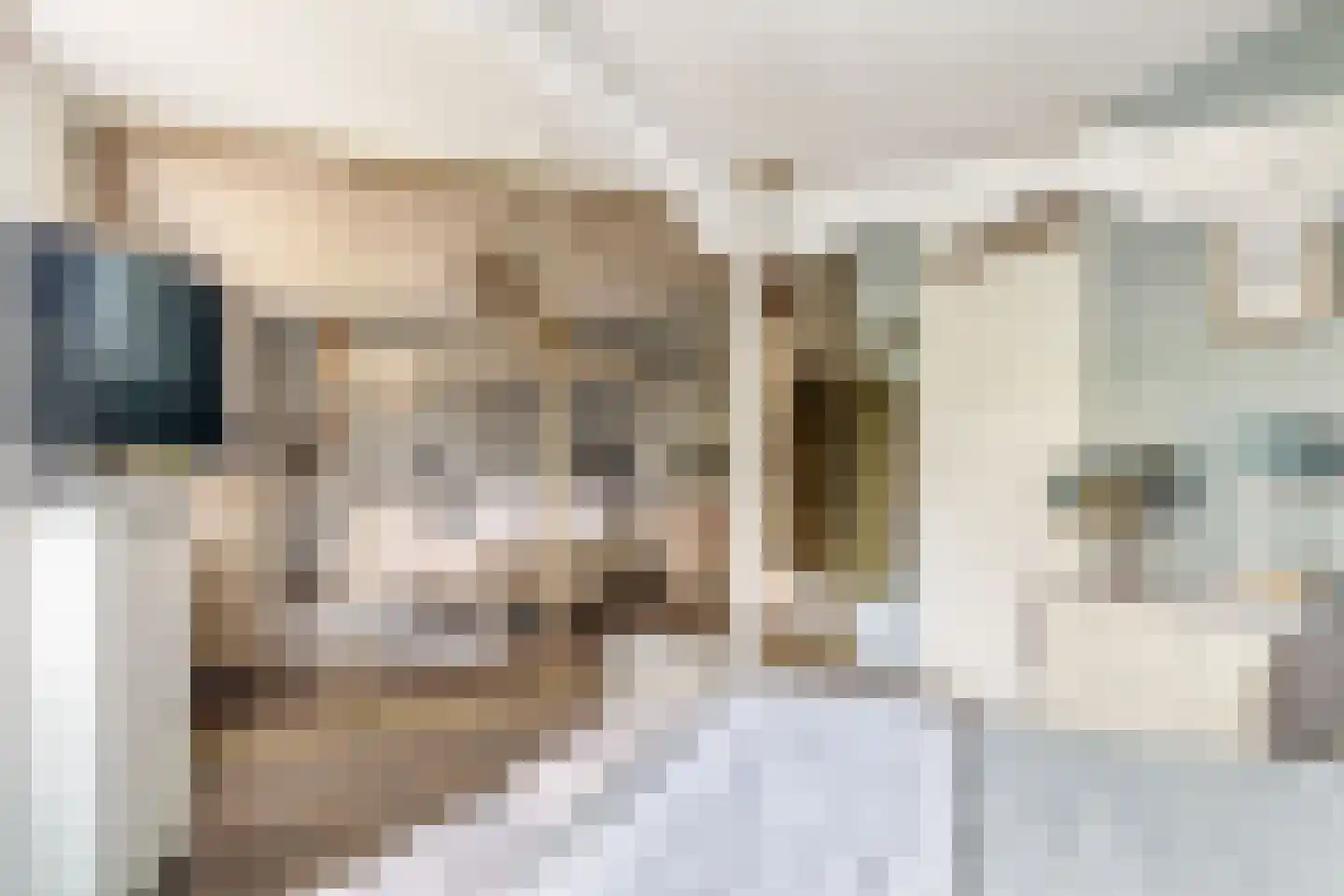 Basrastraat 22 Rotterdam thumbnail 19