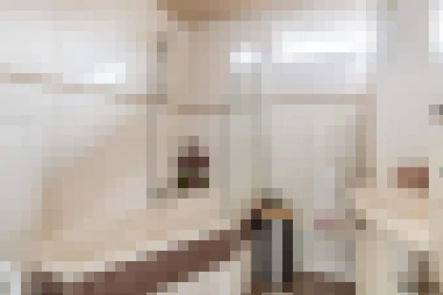Basrastraat 22 Rotterdam thumbnail 5