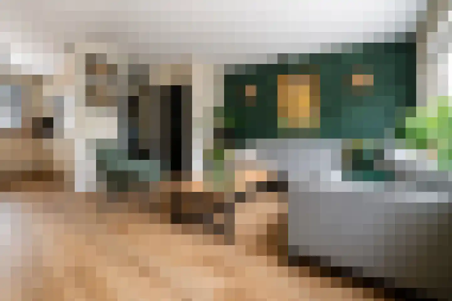 Basrastraat 25 Rotterdam thumbnail 10