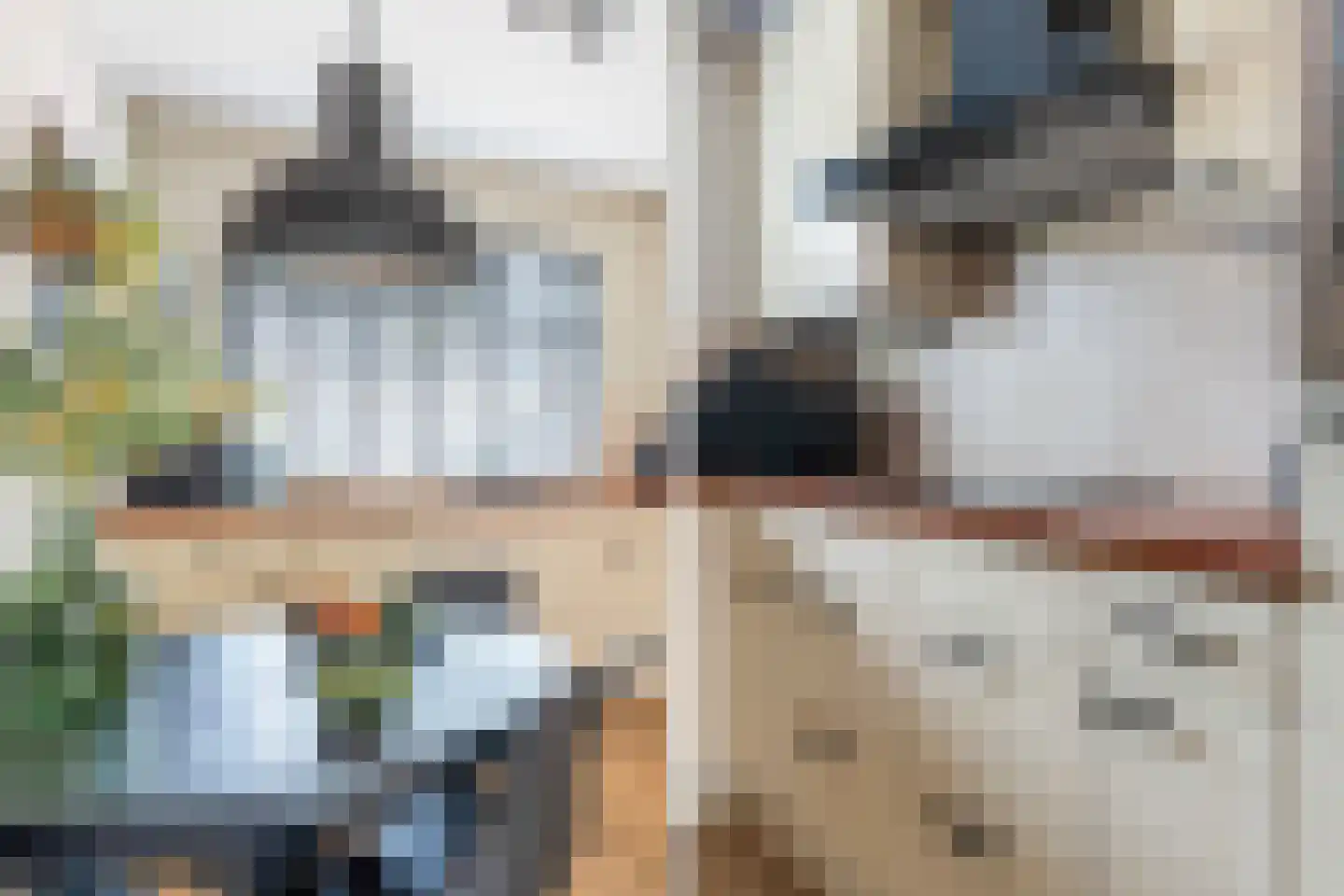 Basrastraat 25 Rotterdam thumbnail 18