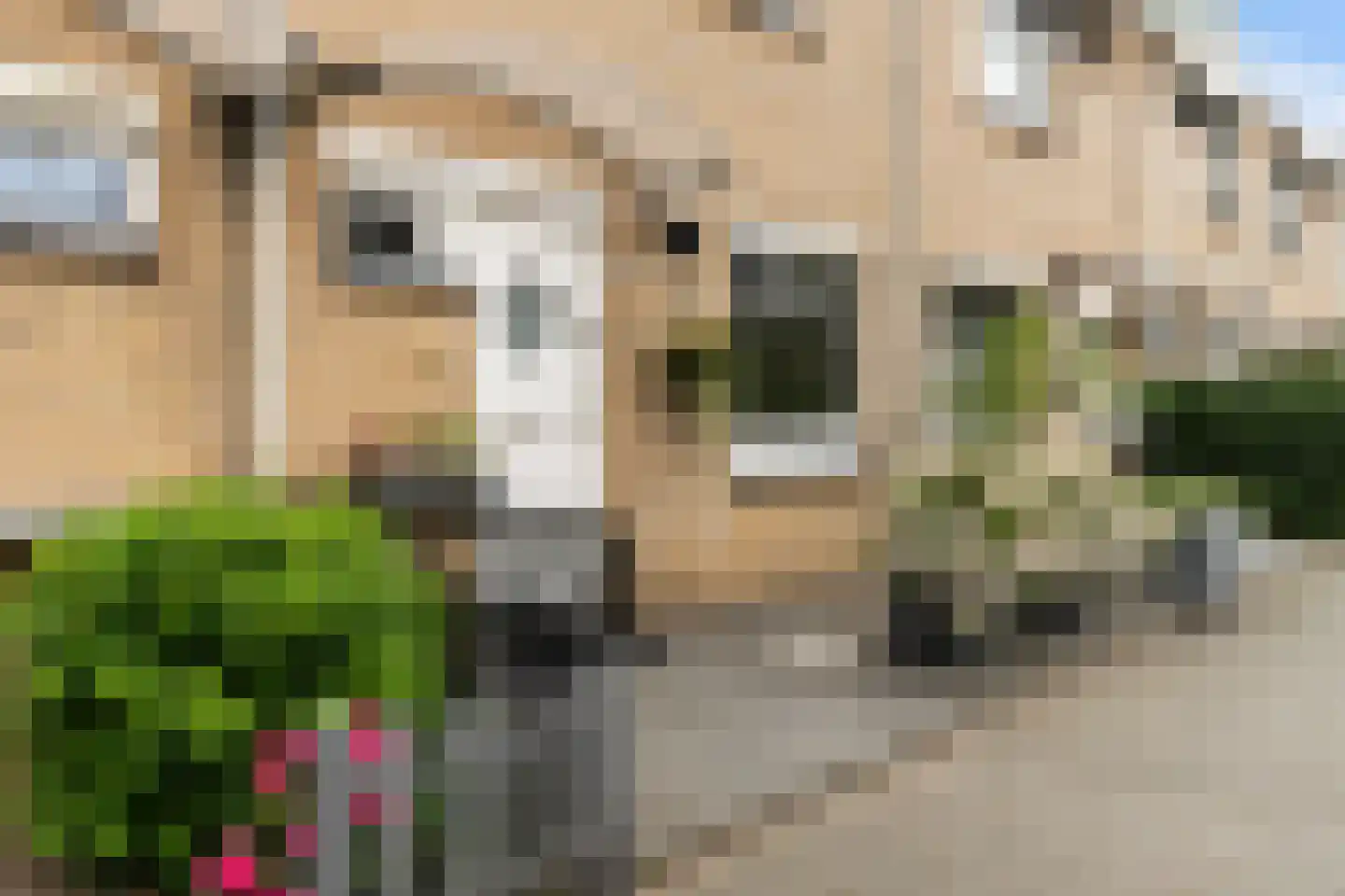 Basrastraat 25 Rotterdam thumbnail 5