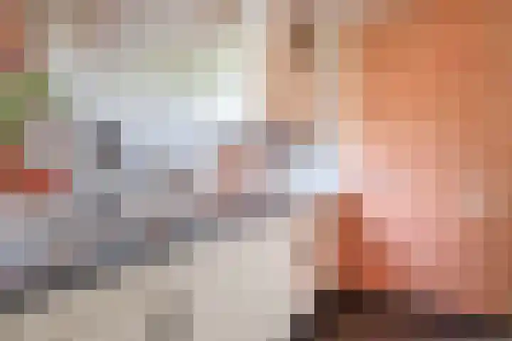 Bassano 6 Krimpen aan den IJssel thumbnail 21