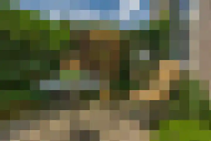 Bassano 6 Krimpen aan den IJssel thumbnail 24