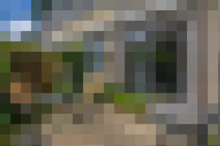 Bassano 6 Krimpen aan den IJssel thumbnail 25