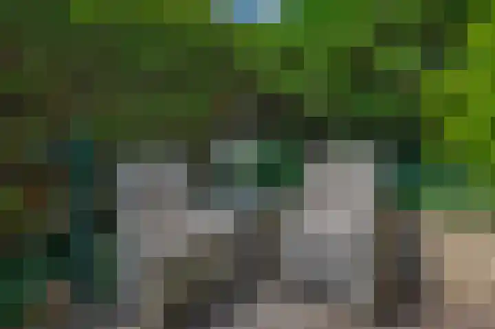 Bassano 6 Krimpen aan den IJssel thumbnail 27