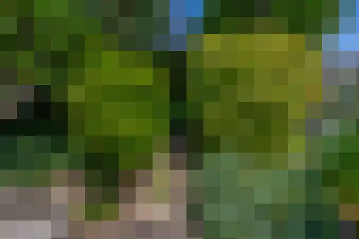 Bassano 6 Krimpen aan den IJssel thumbnail 28